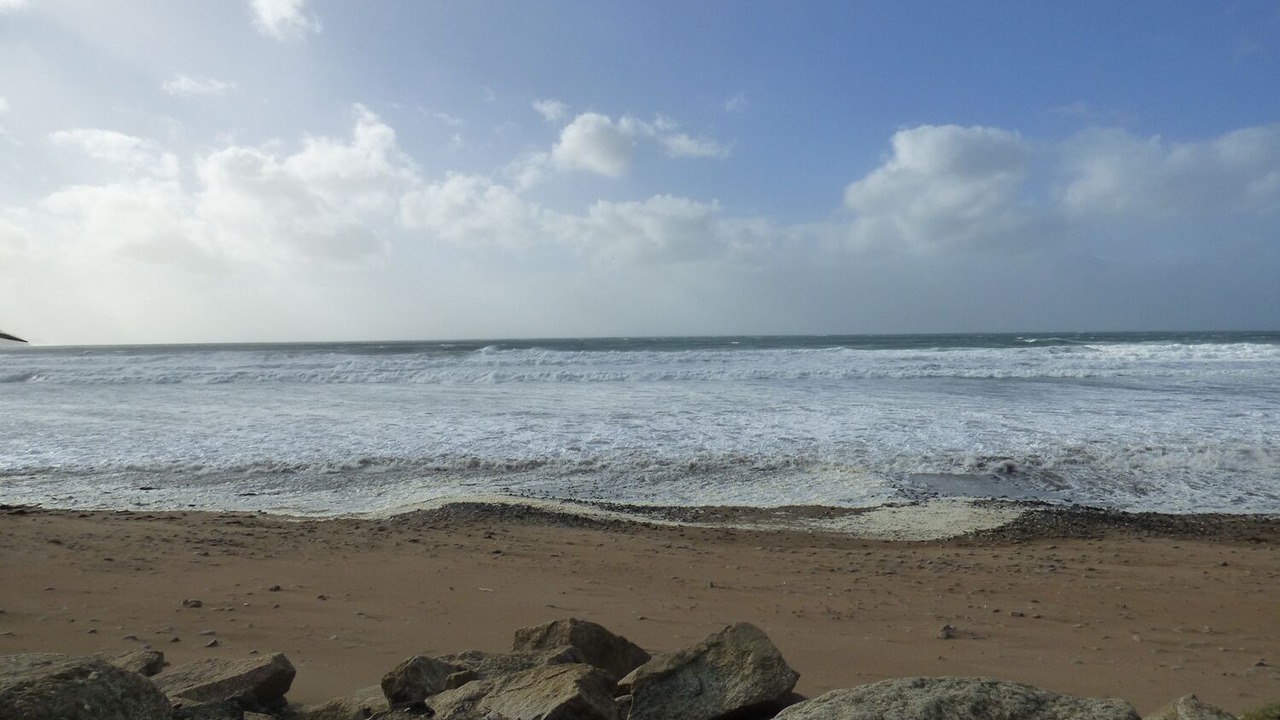 Photo of Others in Brazzacott