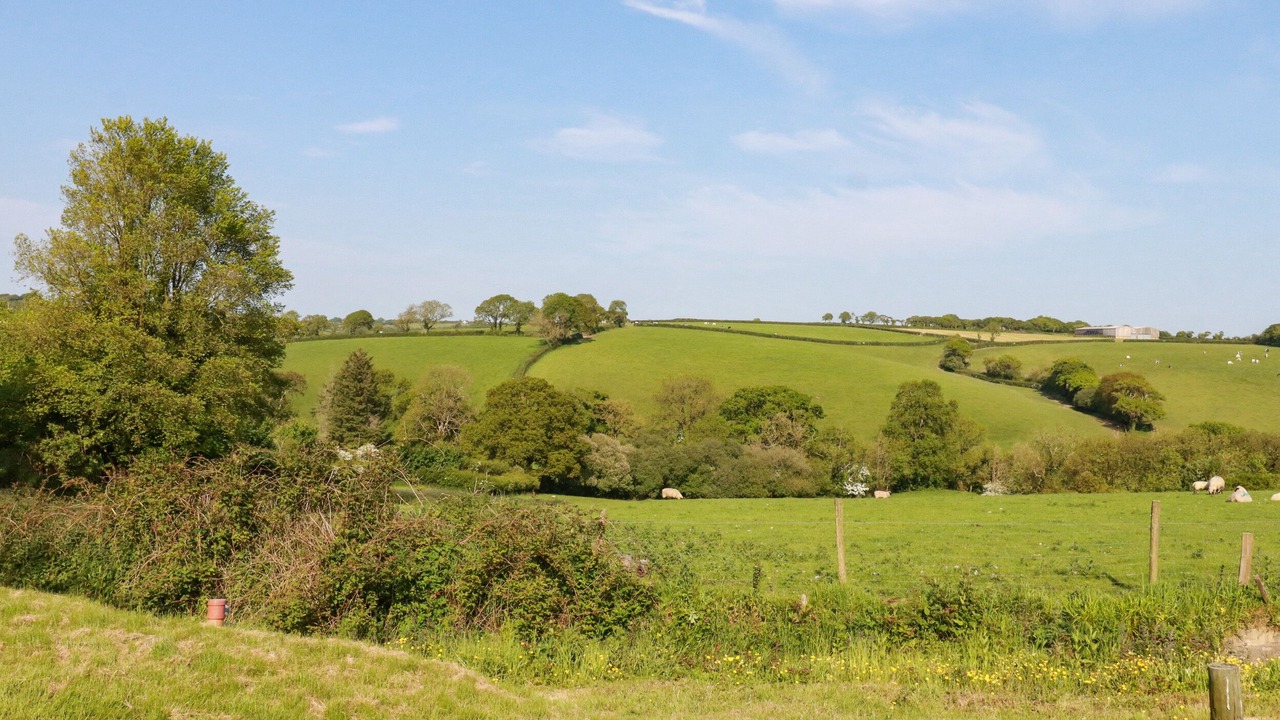 Photo of Others in Brazzacott