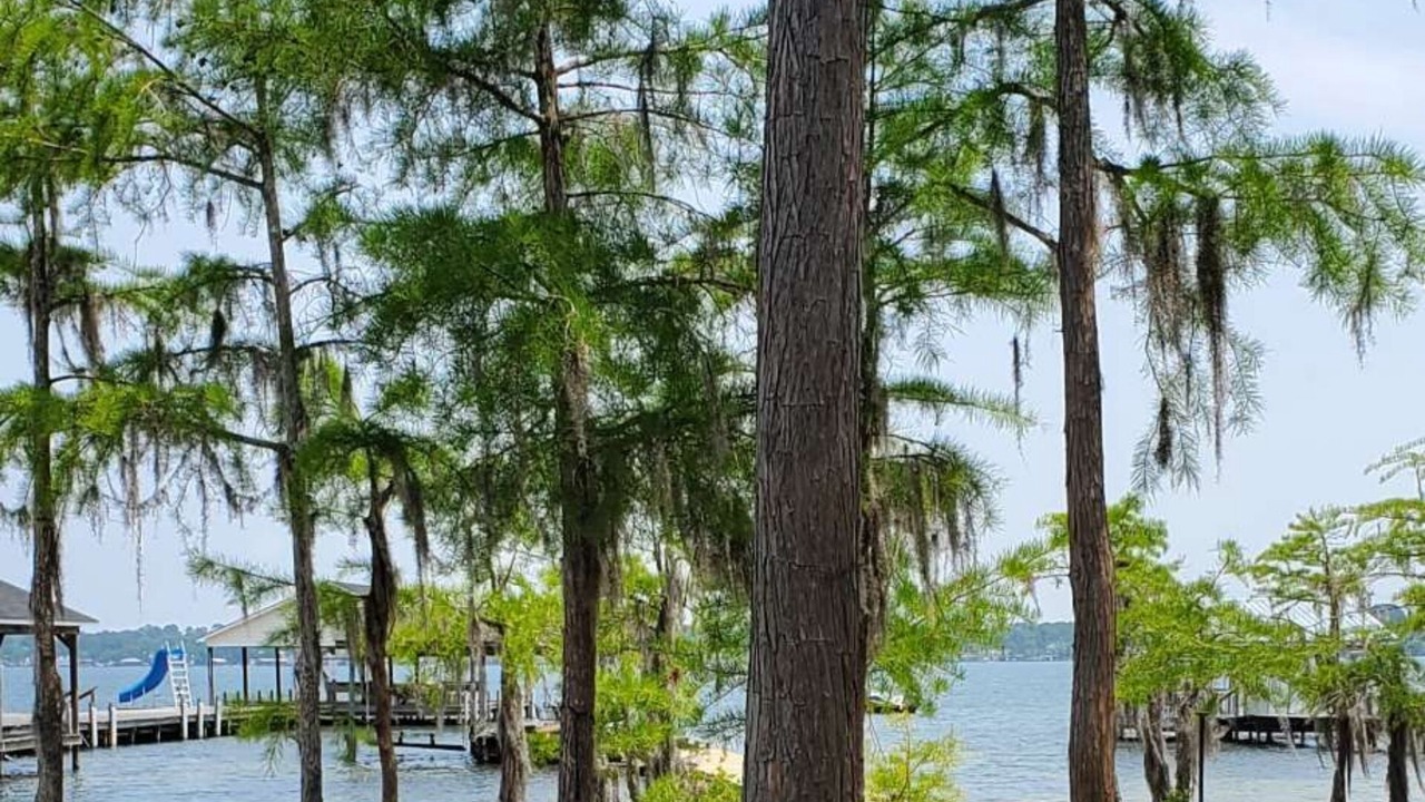 Photo of Others in White Lake