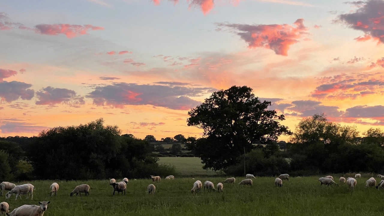 Photo of Others in Quedgeley