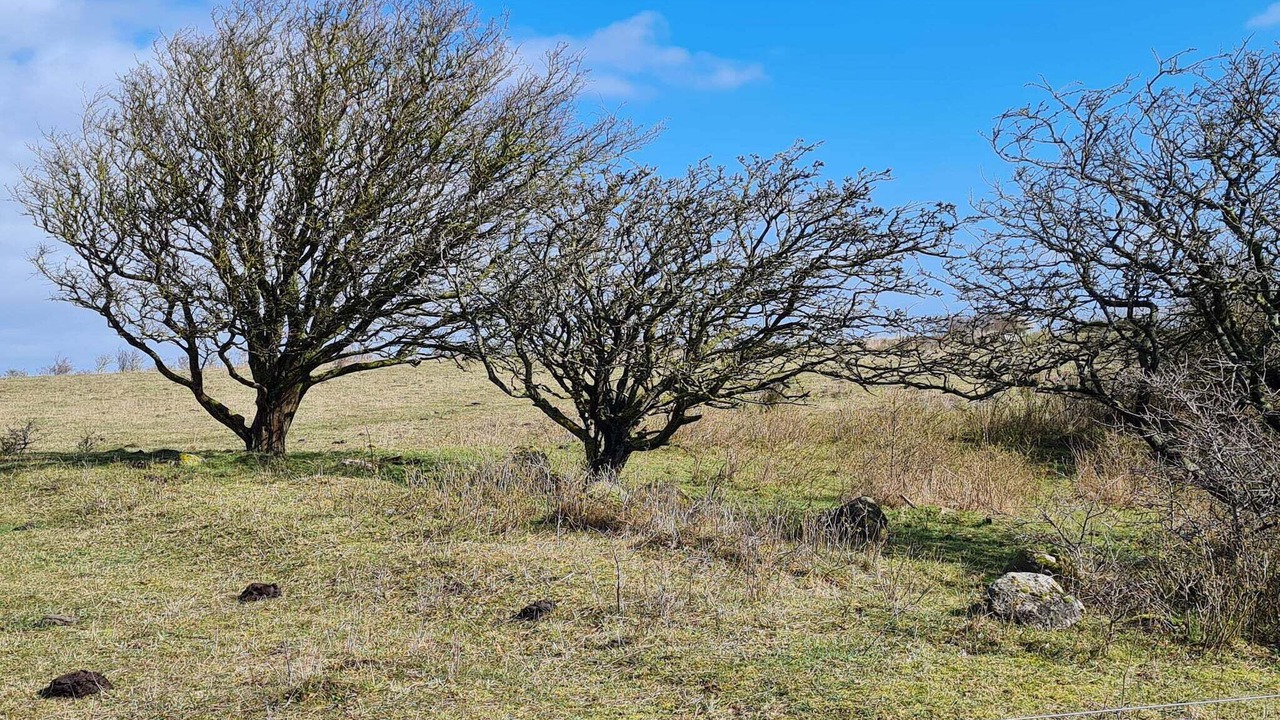 Photo of Others in Ristinge