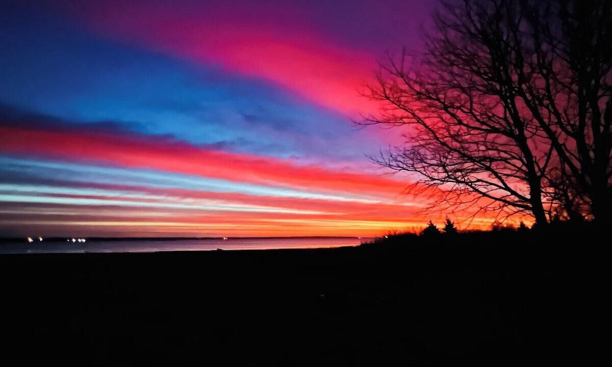 Photo of Others in Ingomar