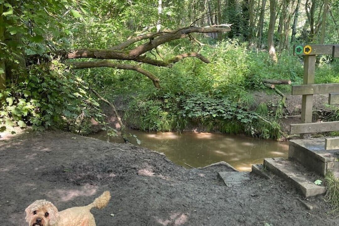 Photo of Outdoor in Stockton-on-Tees