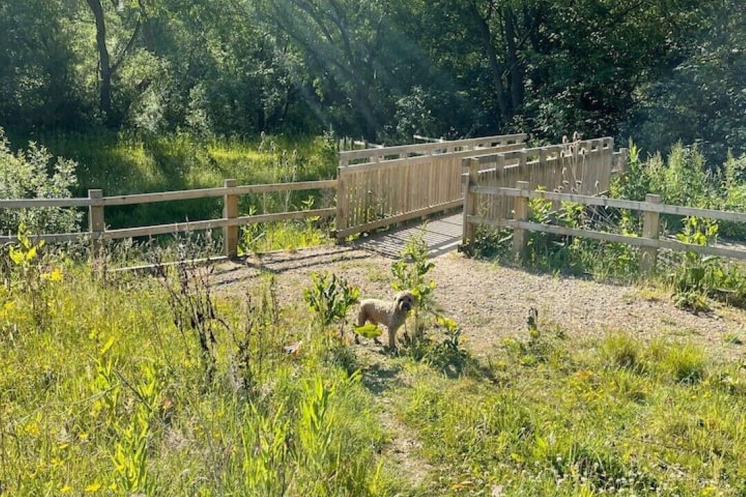 Photo of Outdoor in Stockton-on-Tees