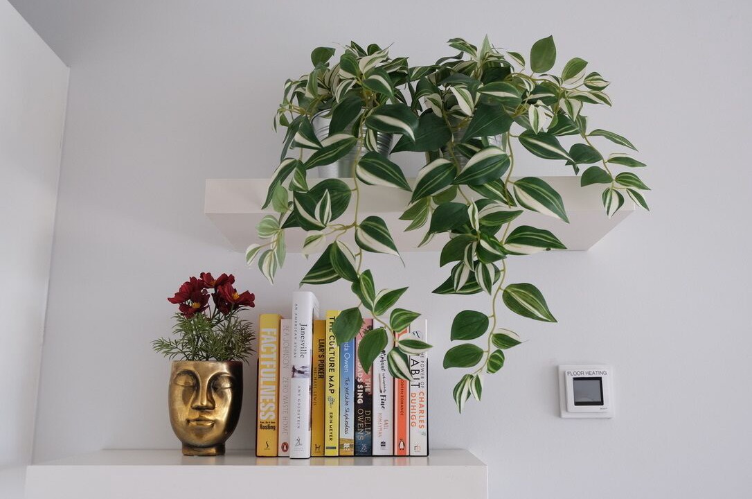 Photo of Others in Deptford