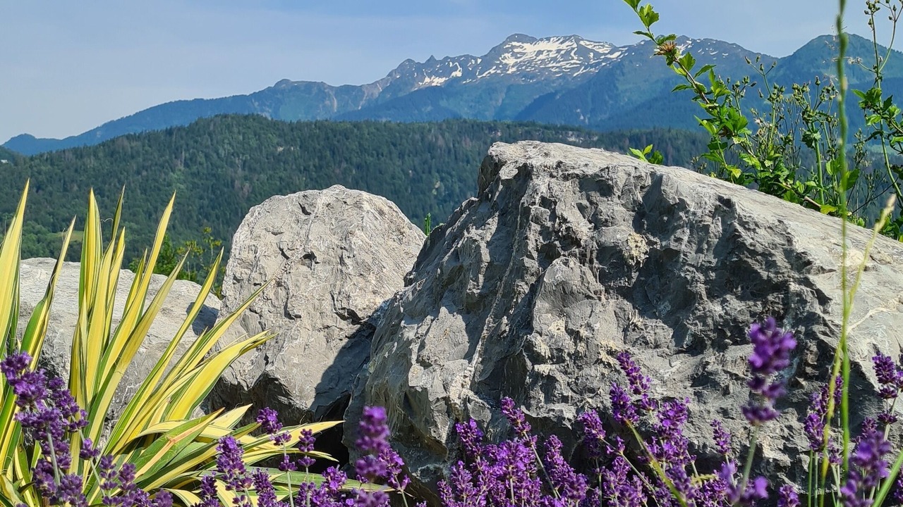 Photo of Outdoor in Marthod