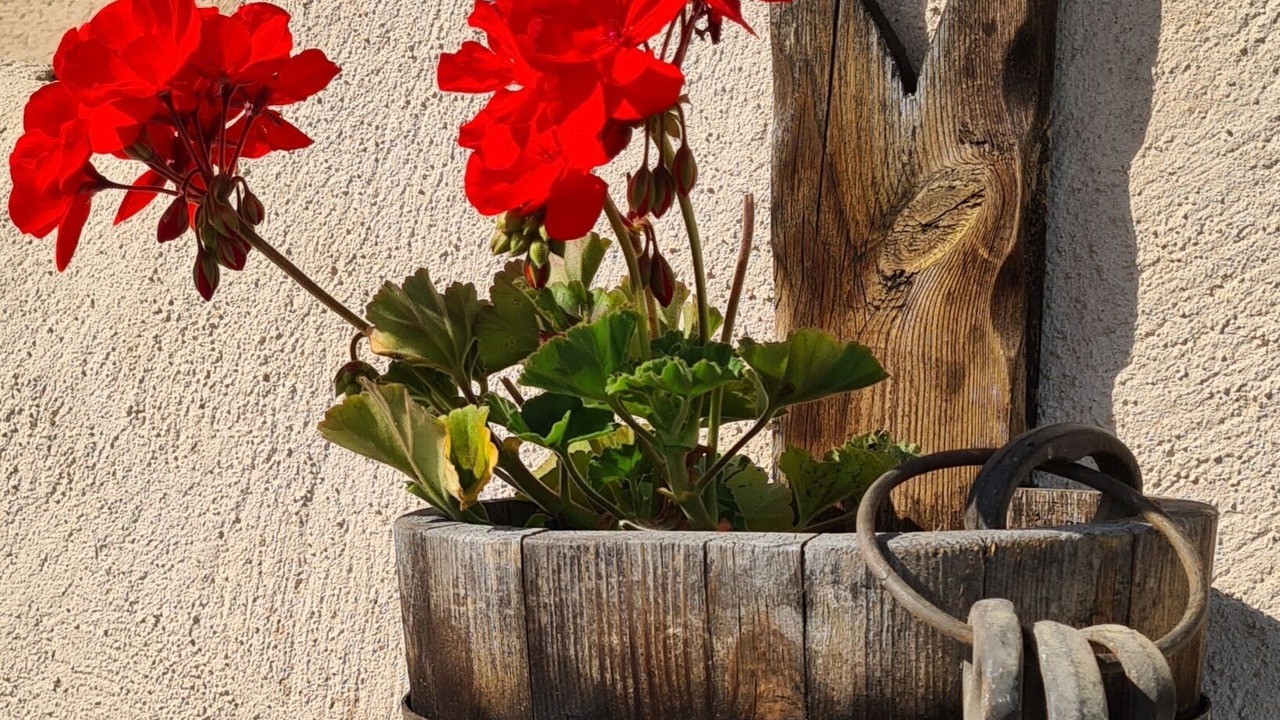 Photo of Outdoor in Marthod