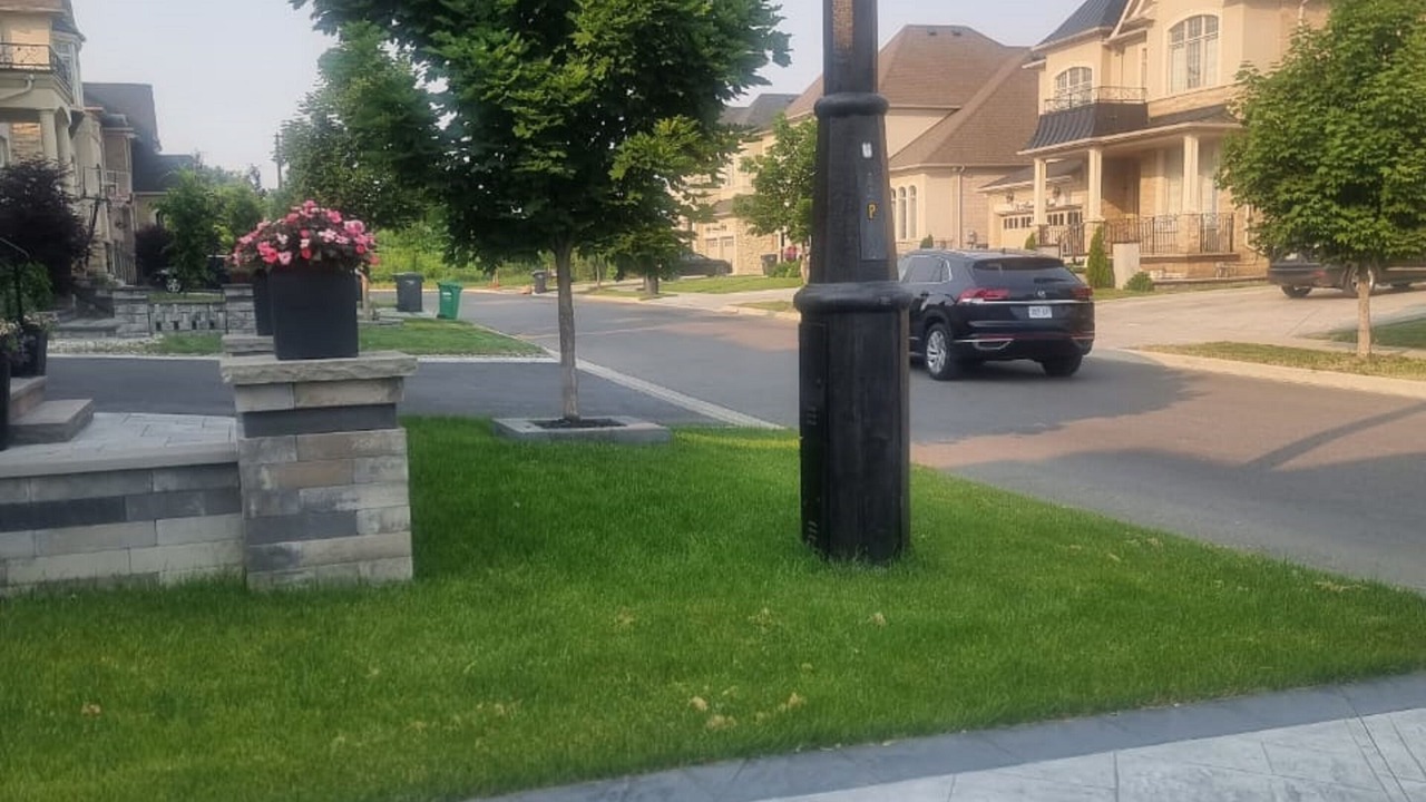 Photo of Outdoor in Mount Pleasant