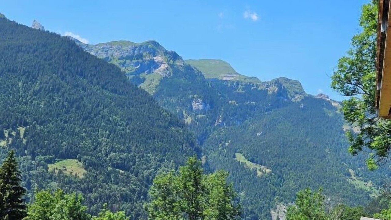 Photo of Outdoor in Wengen