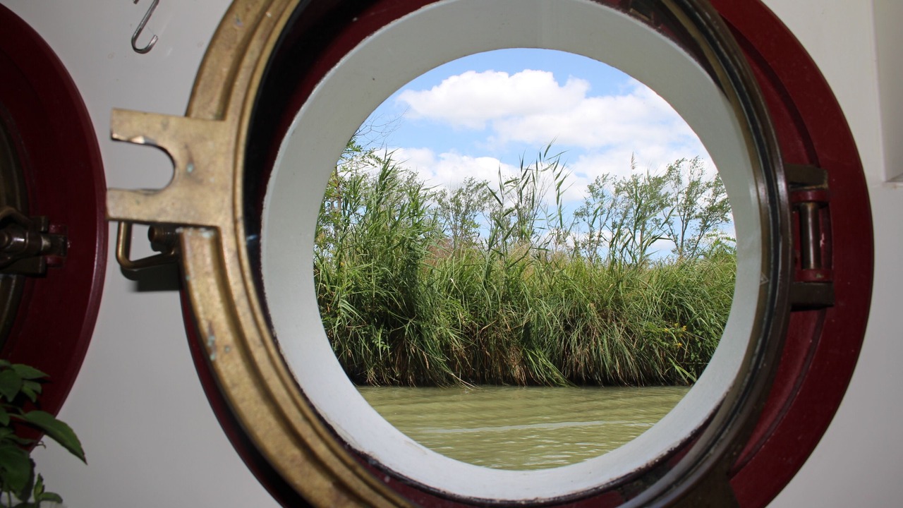 Photo of Others in Villalbe