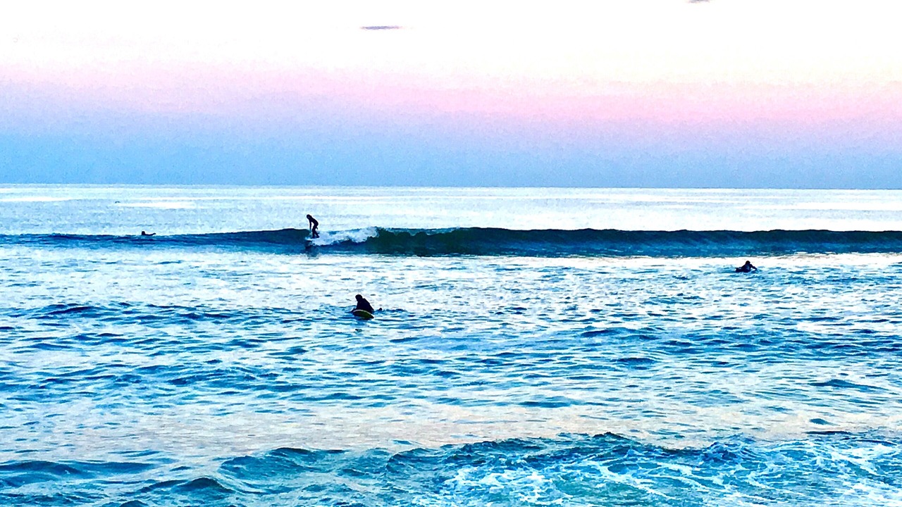 Photo of Others in Sea Bright