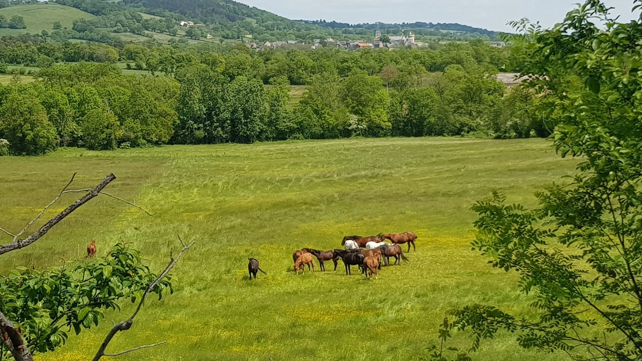 Photo of Others in Roussennac