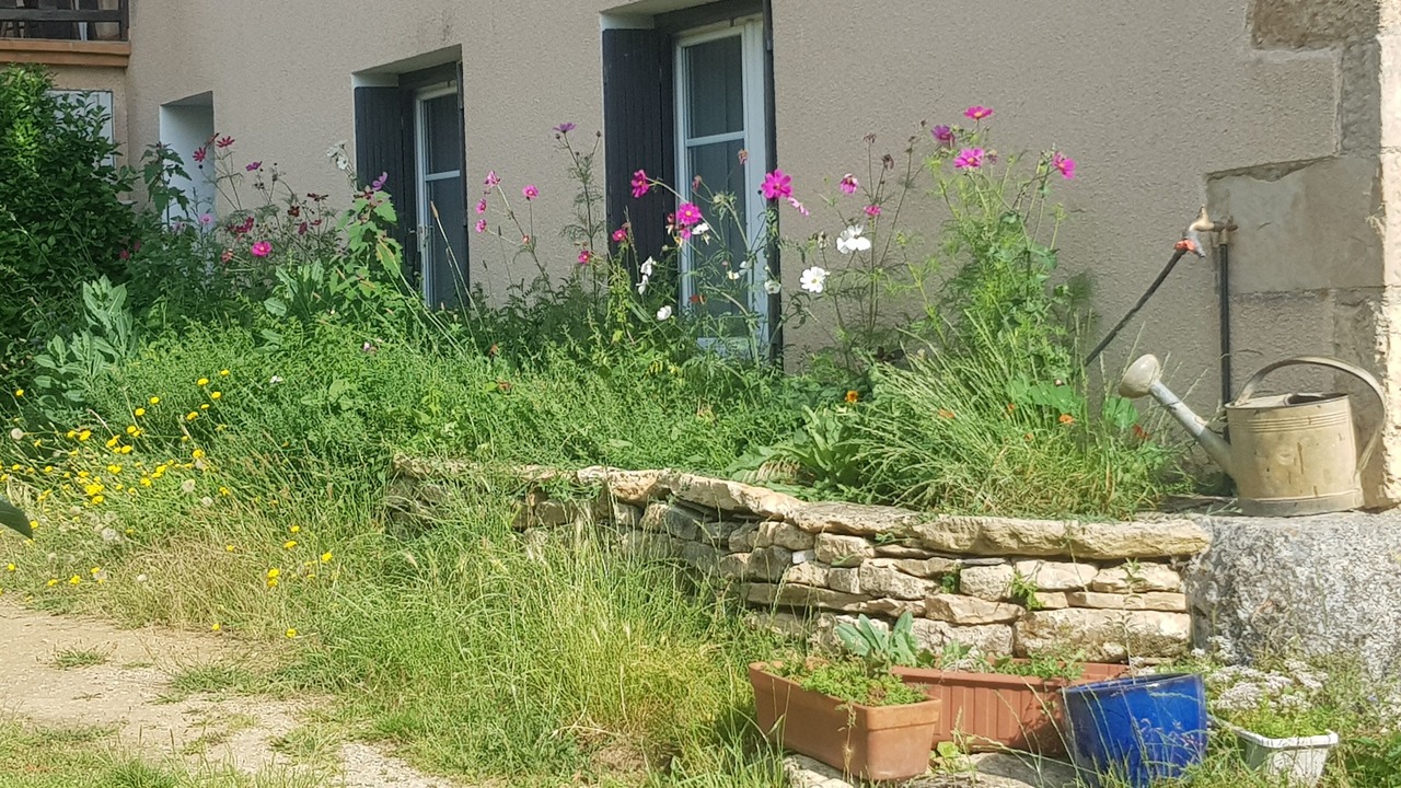 Photo of Outdoor in Roussennac