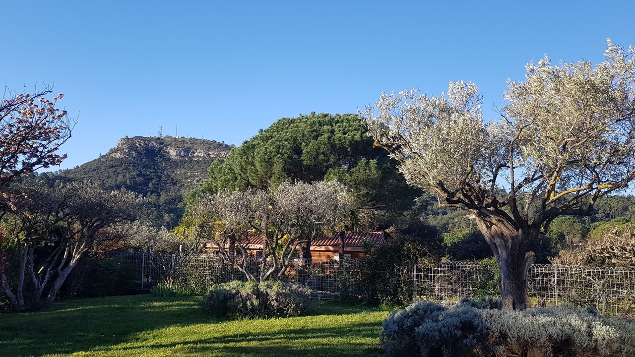 Photo of Outdoor in Anduze