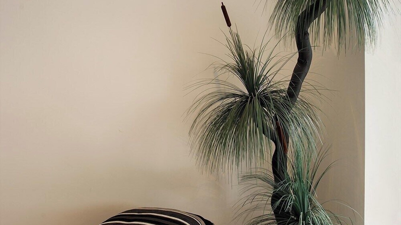 Photo of Others in Cowes