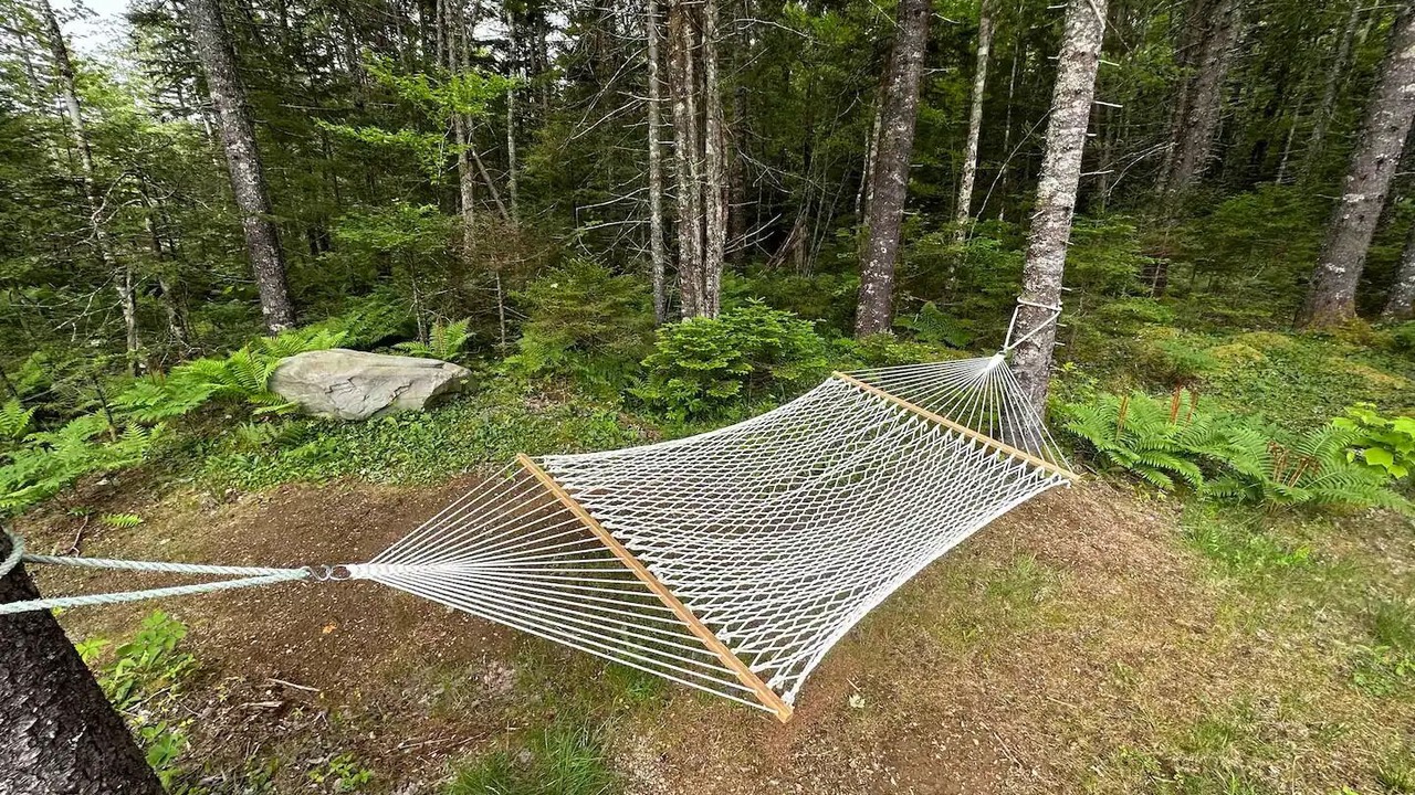 Photo of Outdoor in Clare