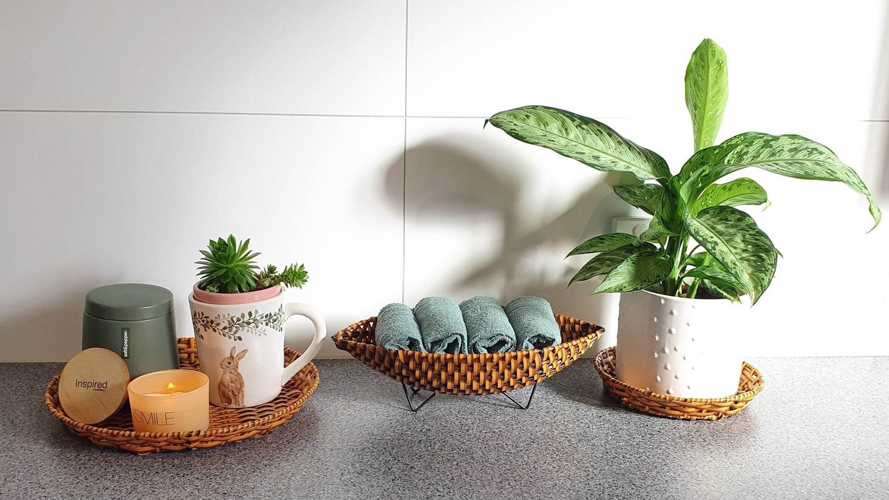 Photo of Others in Cheltenham