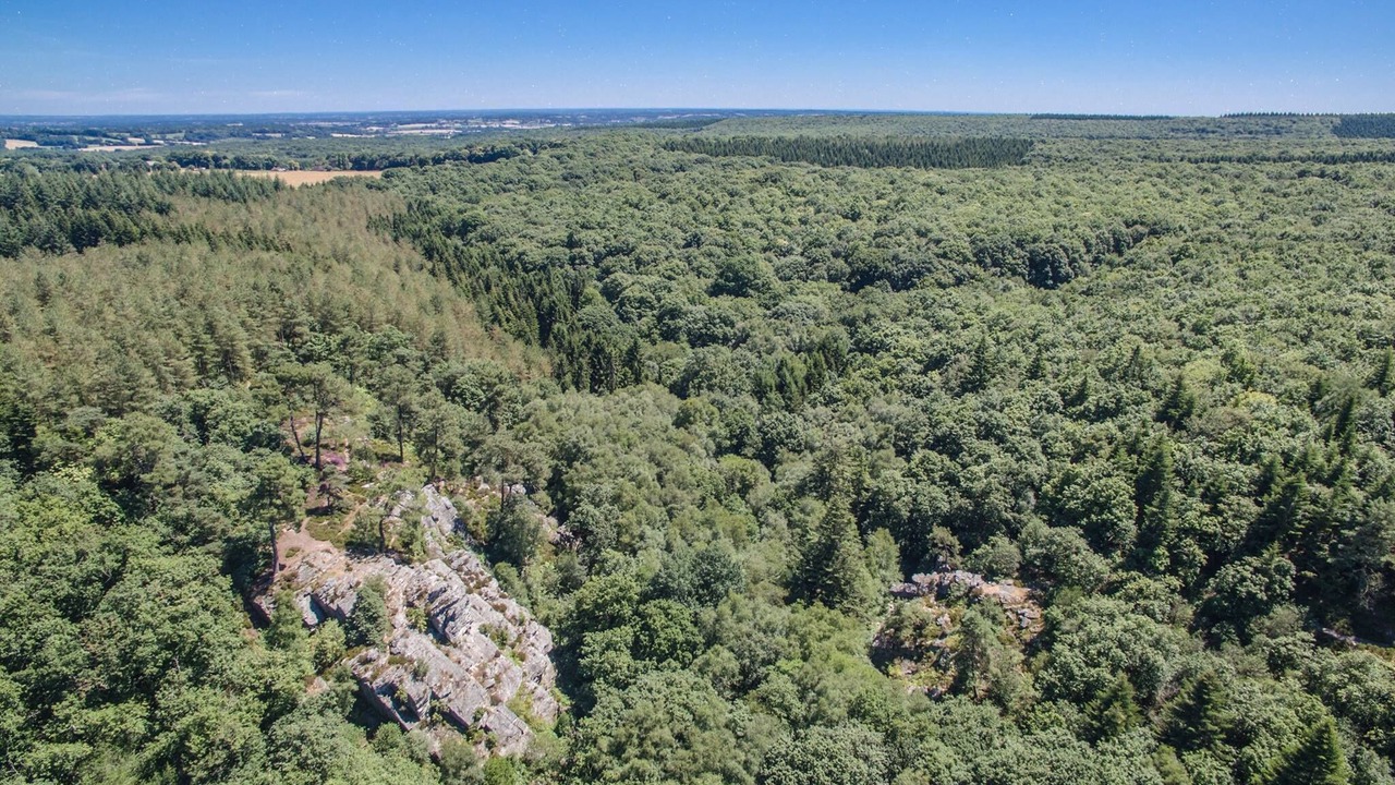 Photo of Others in Sille-le-Guillaume