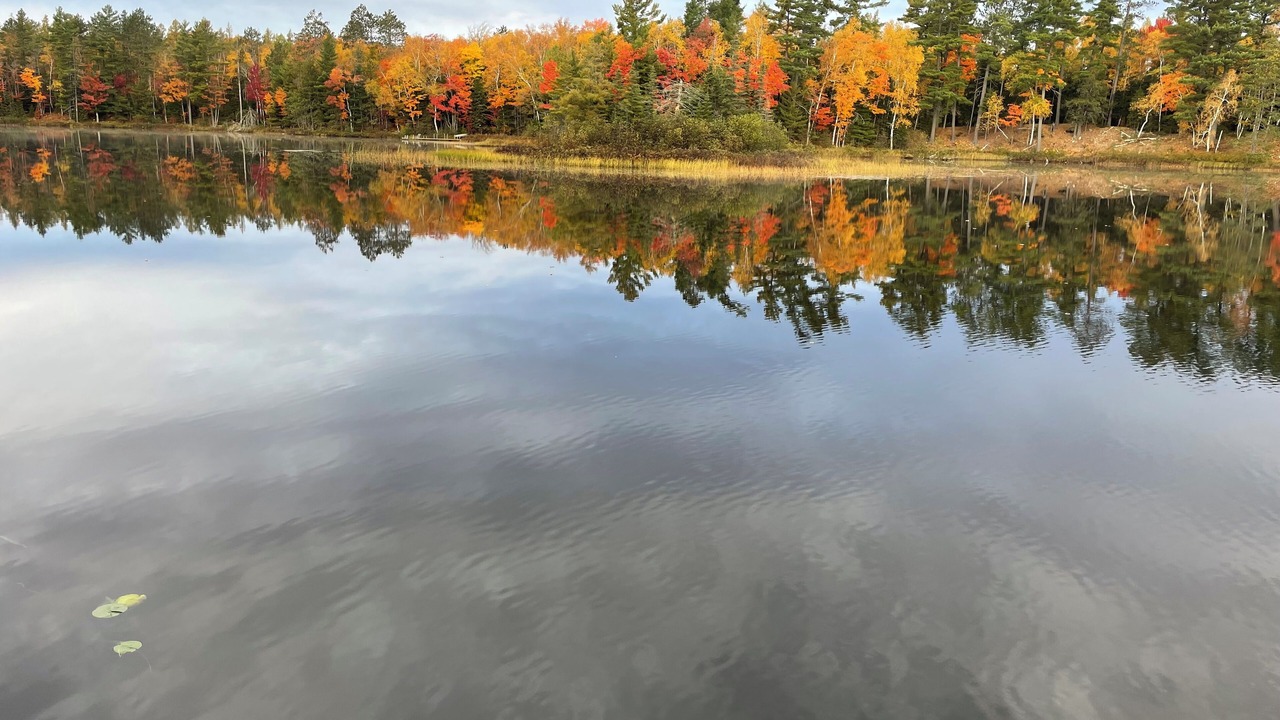 Photo of Outdoor in Park Falls
