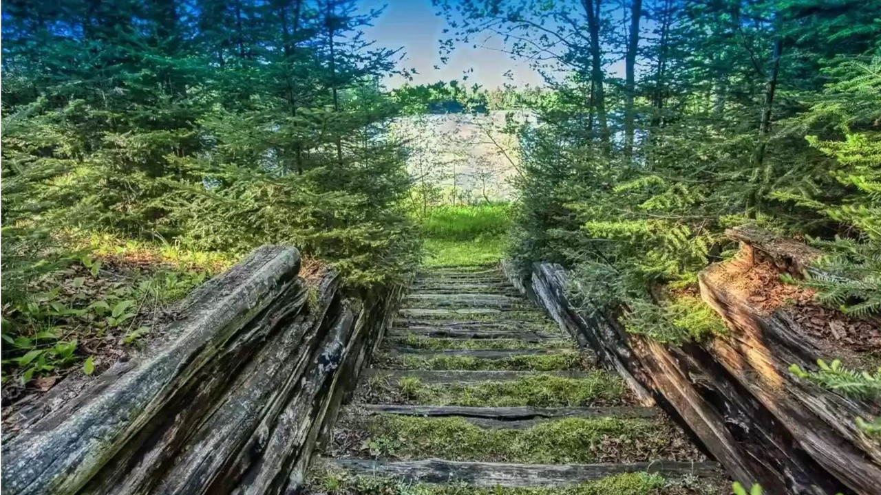 Photo of Outdoor in Park Falls
