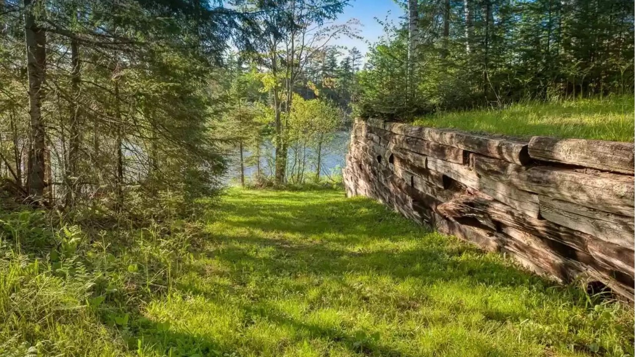 Photo of Outdoor in Park Falls