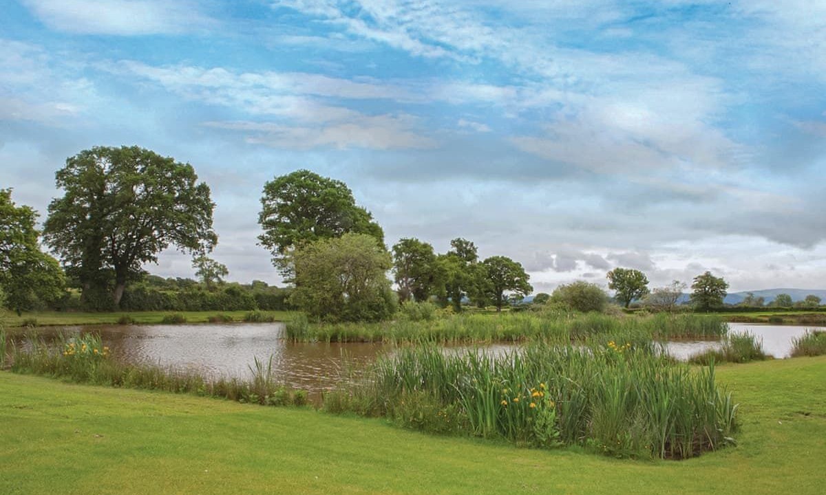 Photo of Outdoor in Cardeston