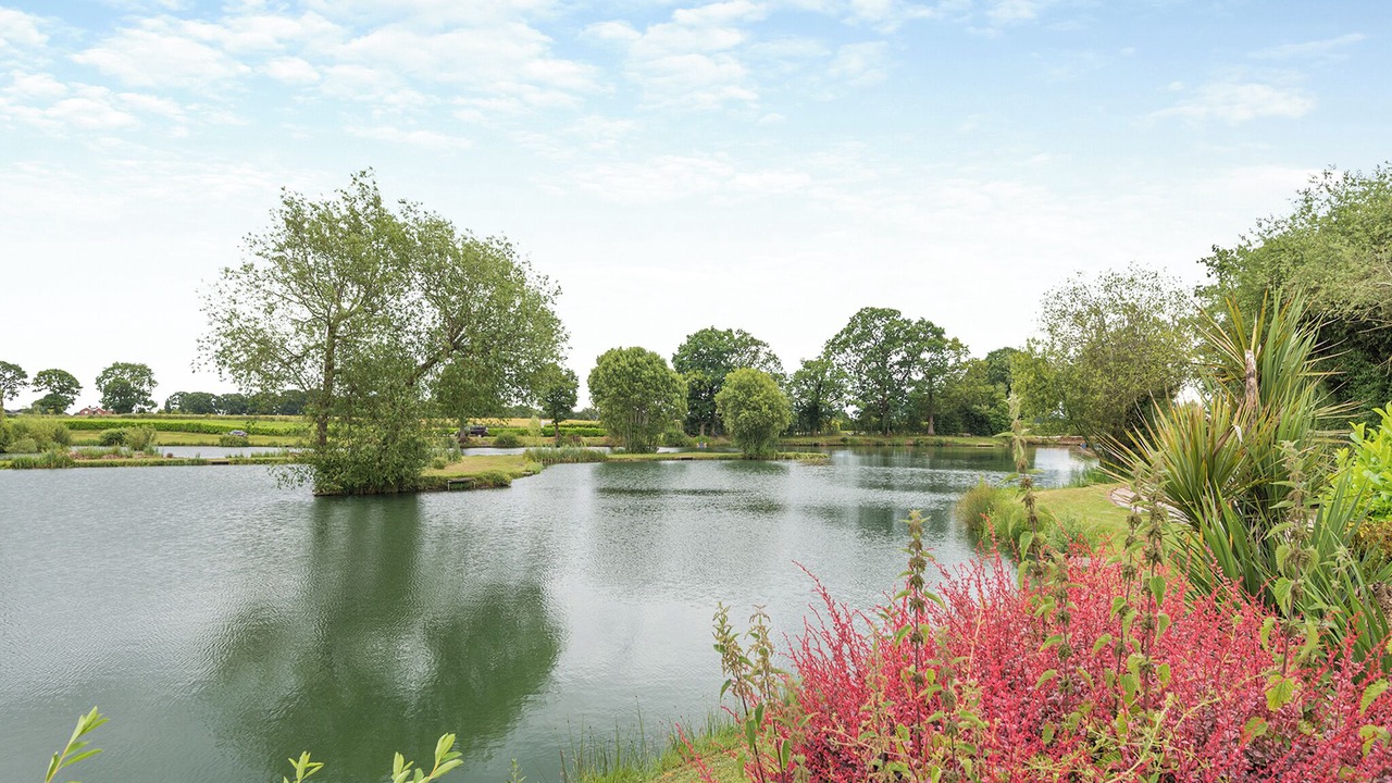 Photo of Others in Cardeston