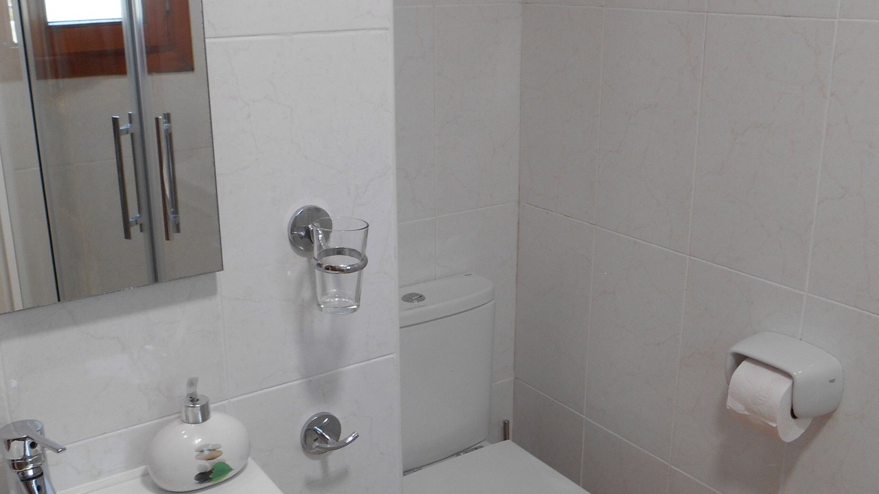 Photo of Bathroom in Empedrola