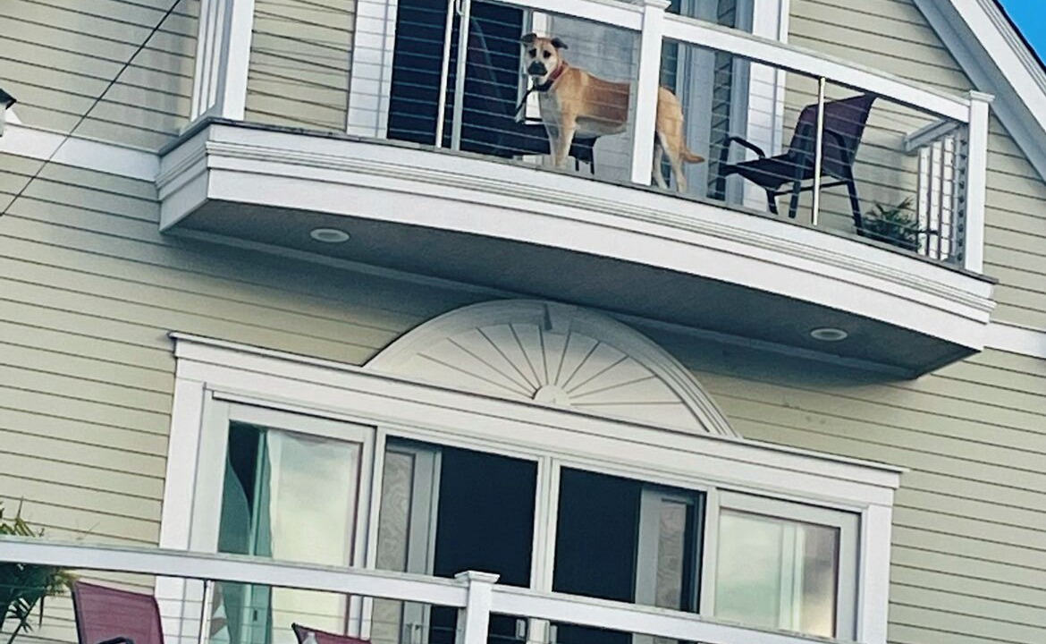 Photo of Outdoor in Milford