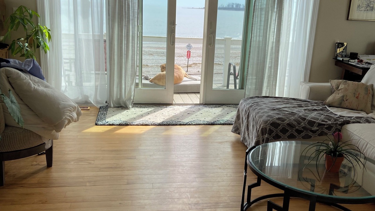 Photo of Livingroom in Milford