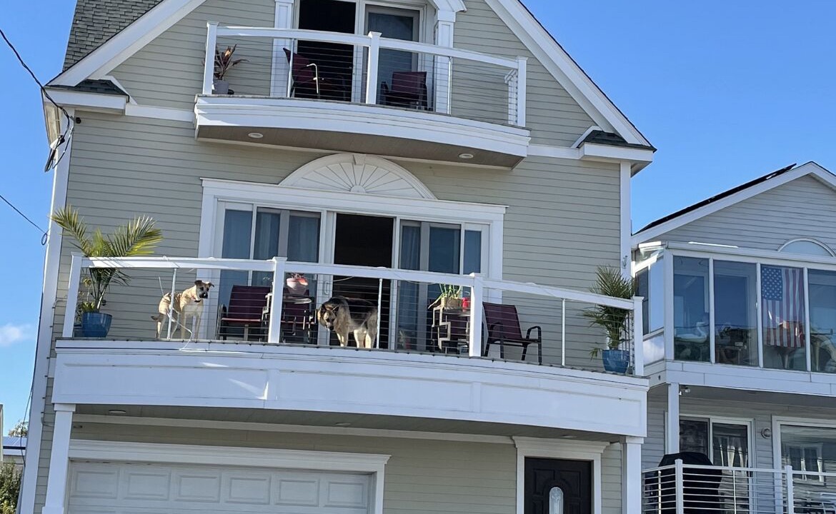 Photo of Outdoor in Milford