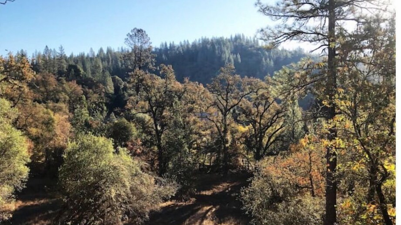 Photo of Outdoor in Alta Sierra