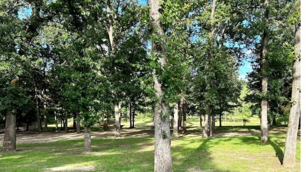 Photo of Outdoor in Lufkin