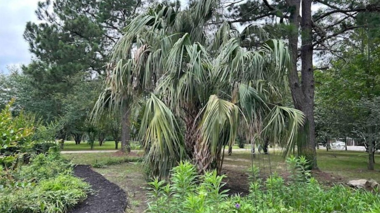 Photo of Outdoor in Lufkin