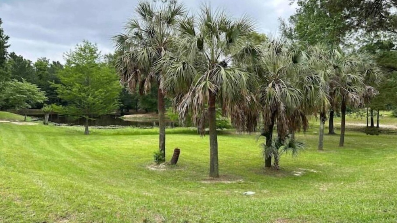 Photo of Outdoor in Lufkin