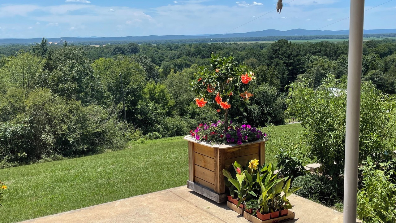 Photo of Outdoor in Morrilton