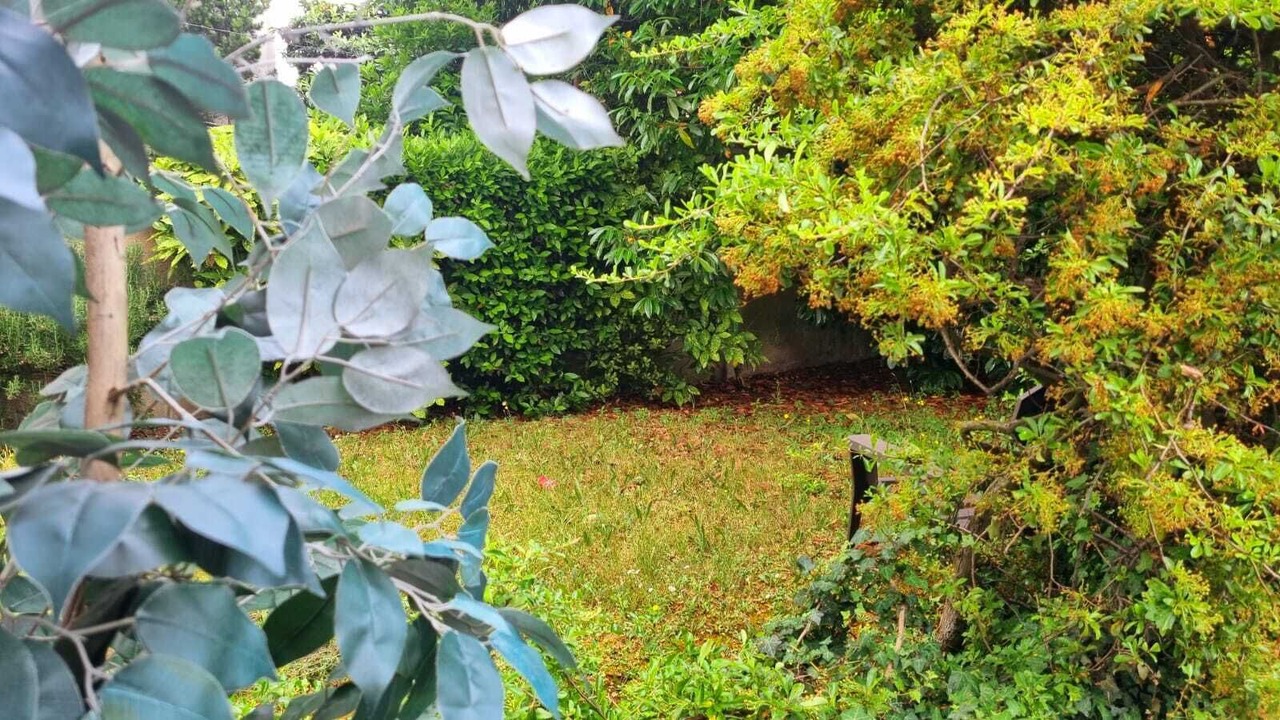 Photo of Outdoor in Montreuil