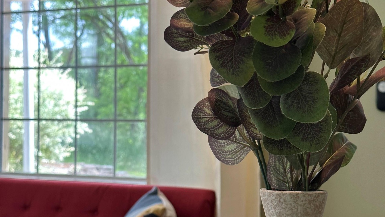 Photo of Others in Honesdale