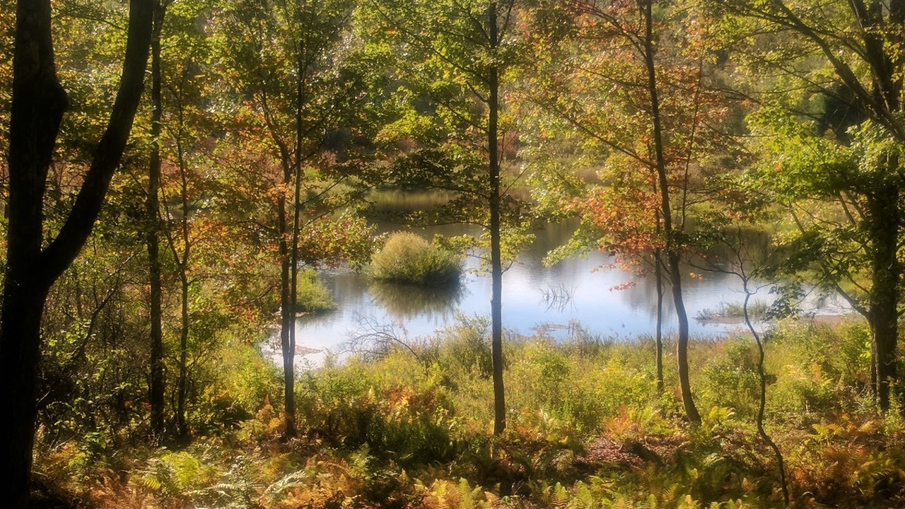 Photo of Others in Honesdale