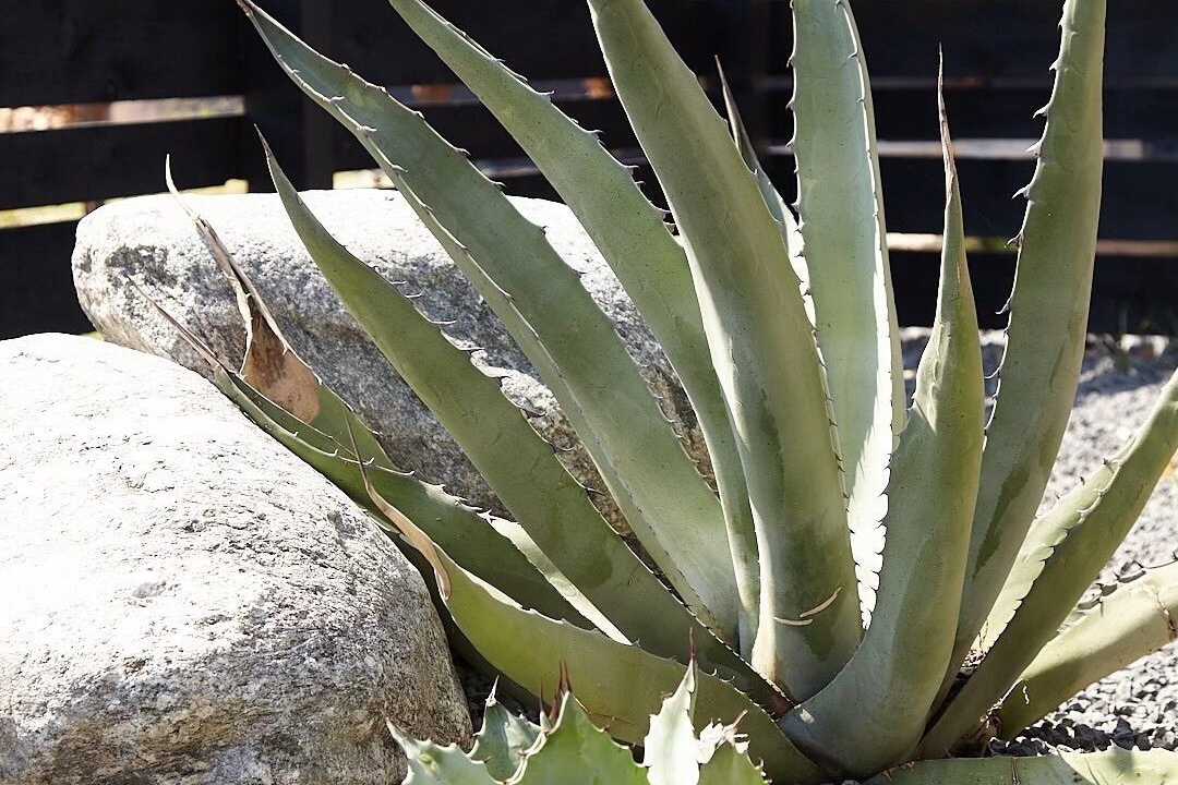 Photo of Outdoor in Decatur