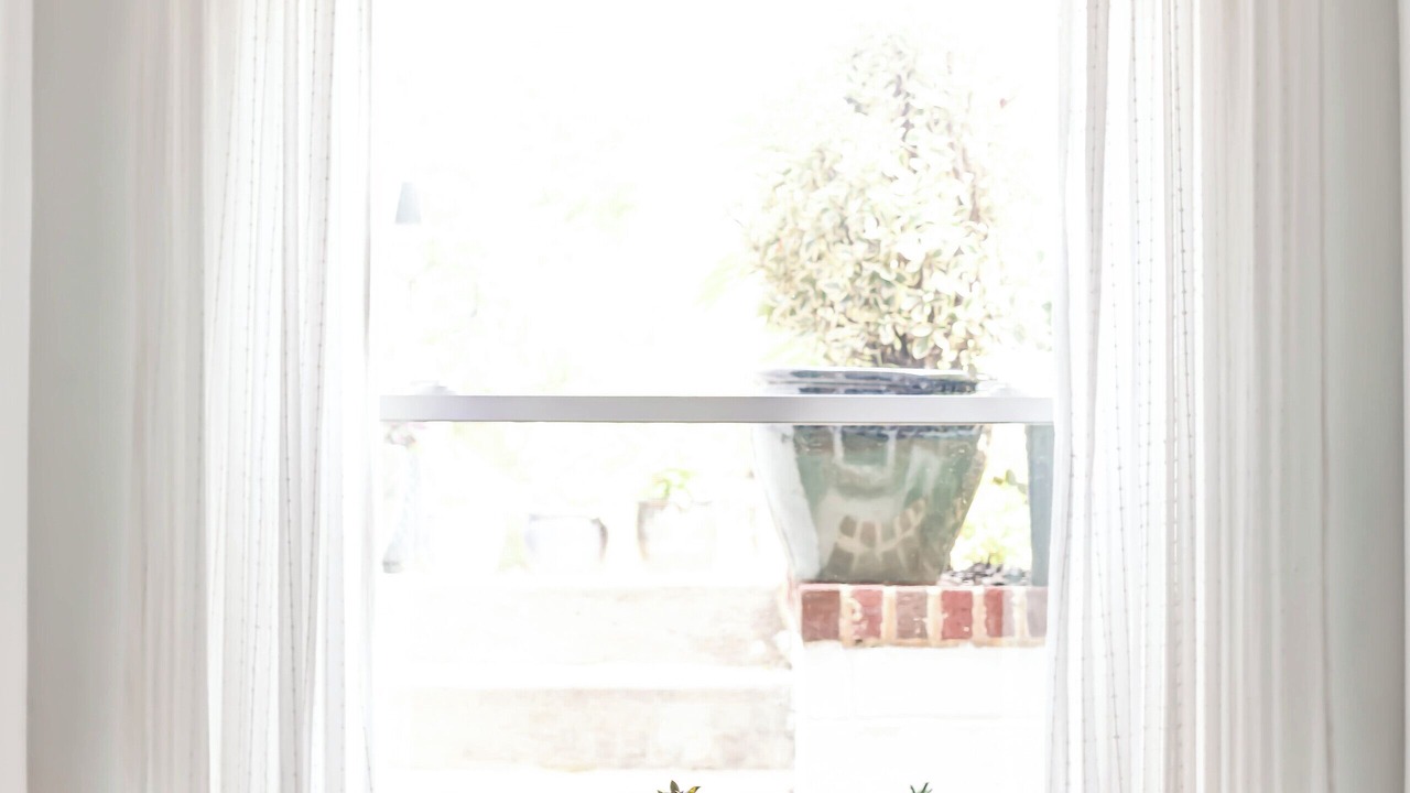 Photo of Others in Lower Central NE