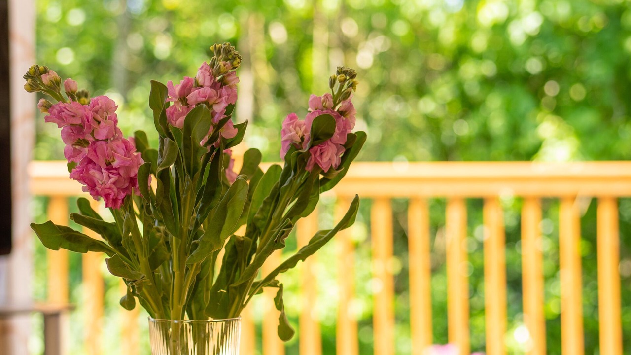 Photo of Others in Mullacott