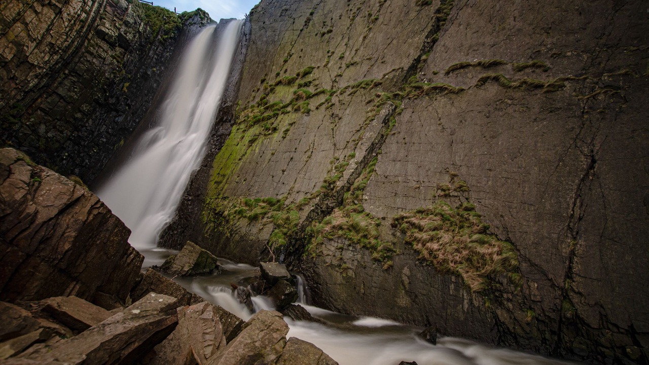 Photo of Others in Mullacott