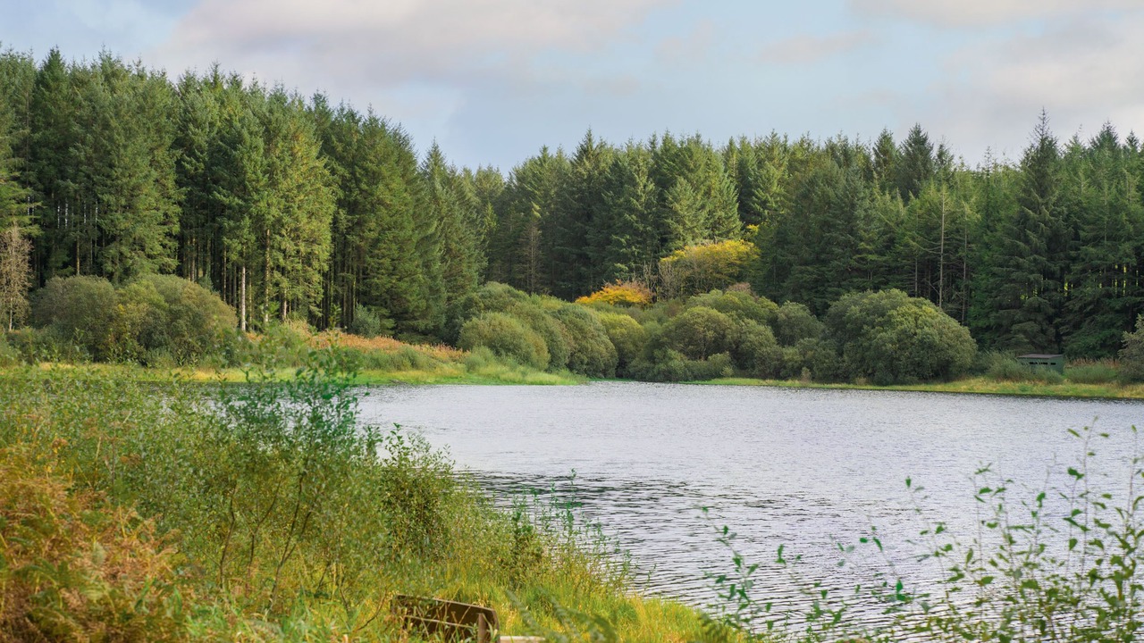 Photo of Others in Mullacott