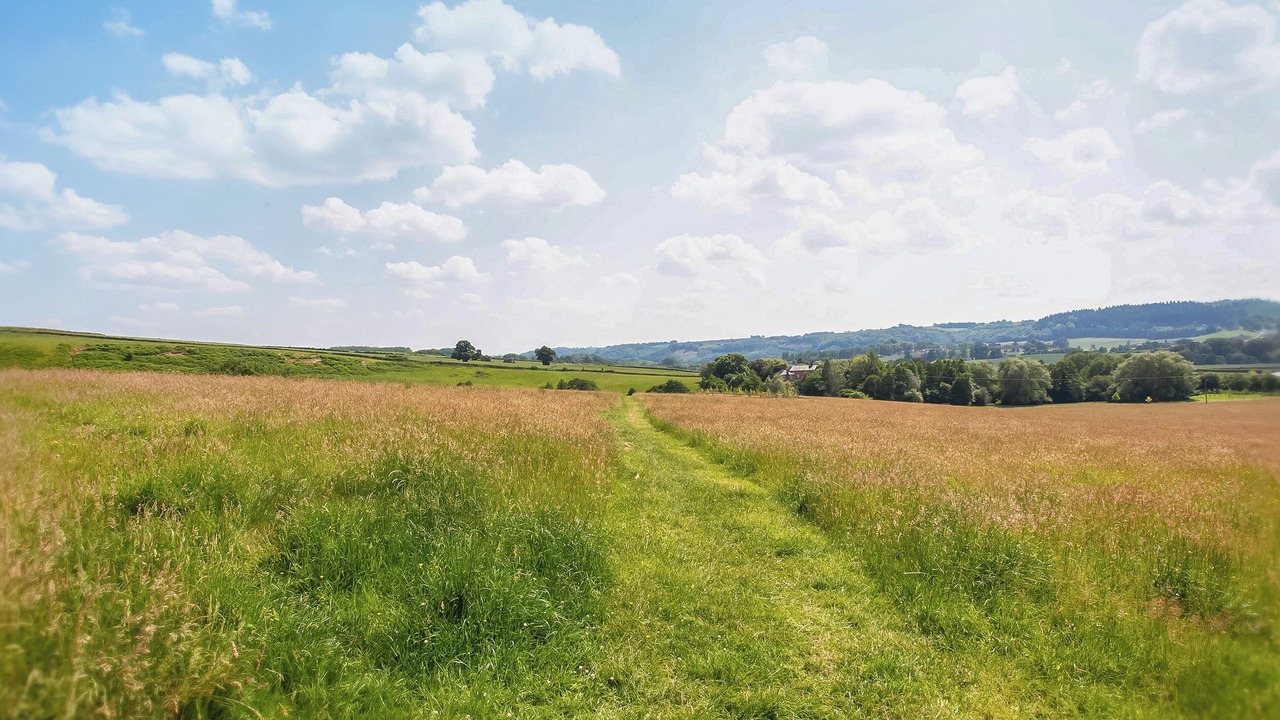 Photo of Others in Great Witley