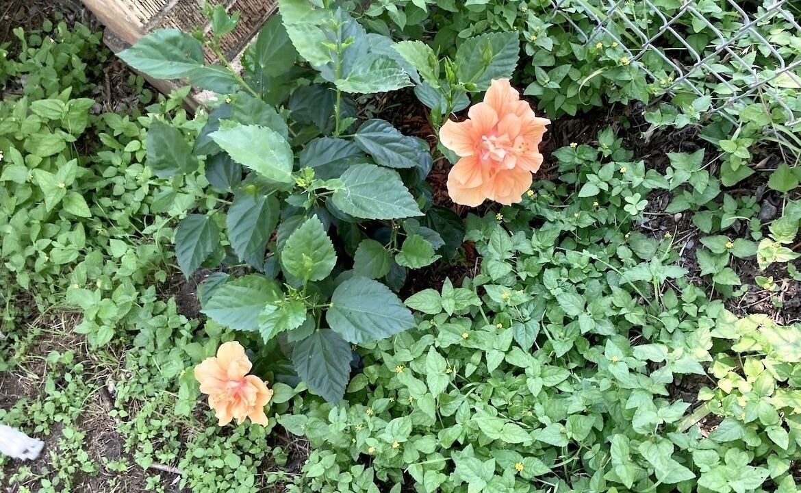Photo of Outdoor in Belton