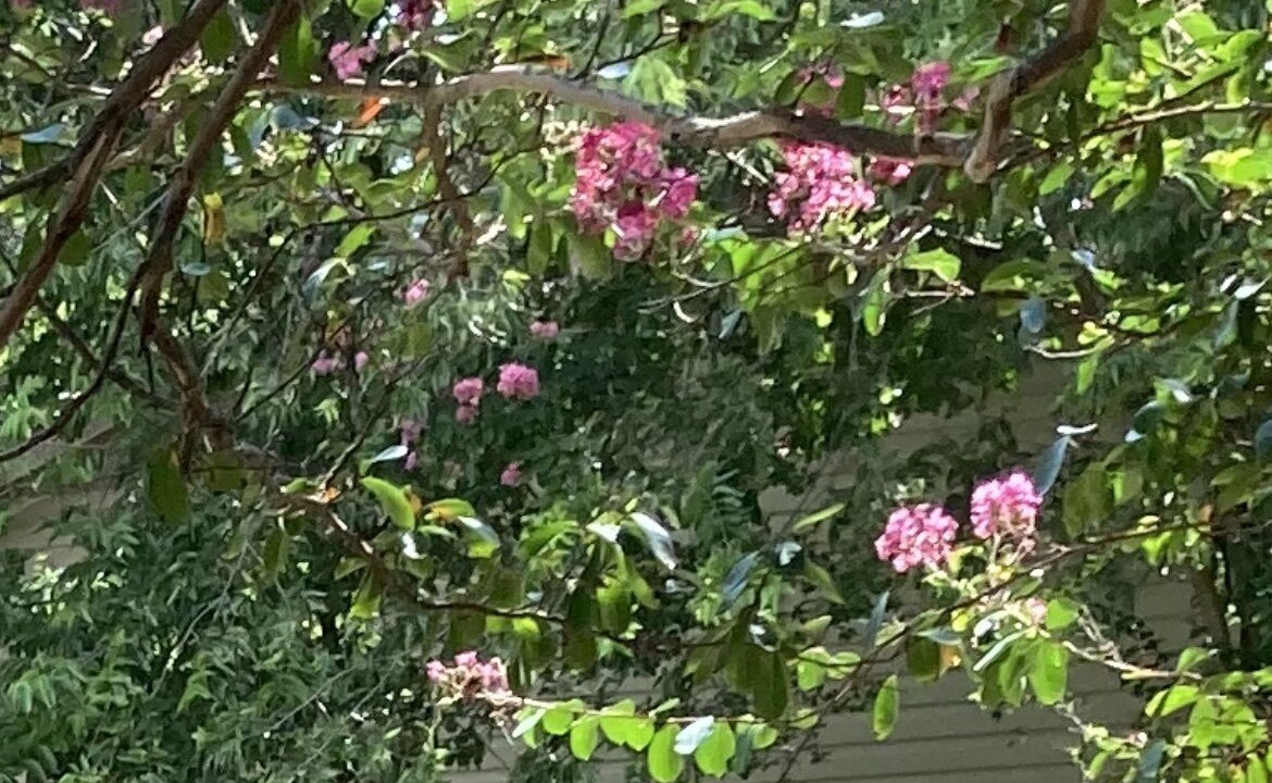 Photo of Outdoor in Belton