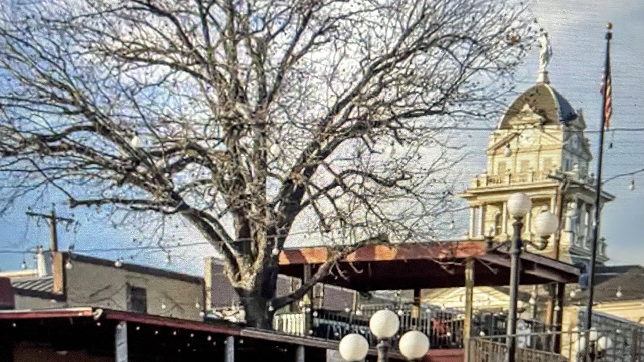 Photo of Outdoor in Belton