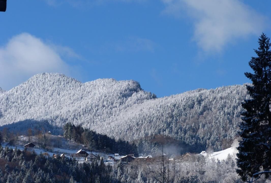 Photo of Others in Saint-Pierre-d'Entremont