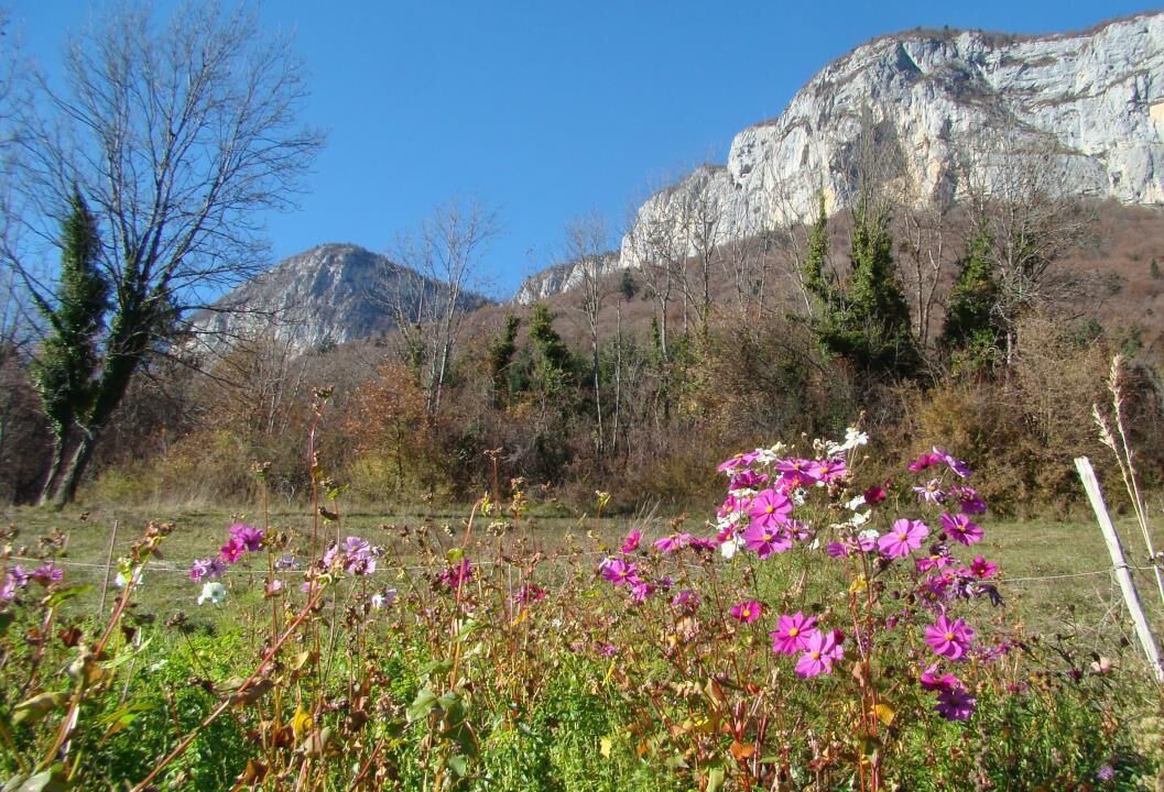 Photo of Outdoor in Saint-Jean-dʼArvey